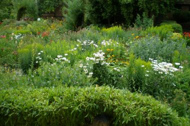 Fundraising – przyjazne finansowanie marzeń