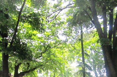 Tydzień Edukacji Globalnej 18-26.11.2017