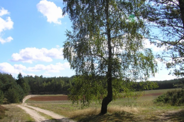 Romantyzm i pragmatyzm w działaniach Koła Storczyk