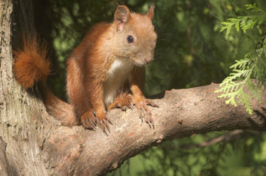 RUDE, CZARNE, SZARE…