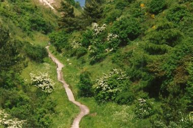 Nadmorski Park Krajobrazowy