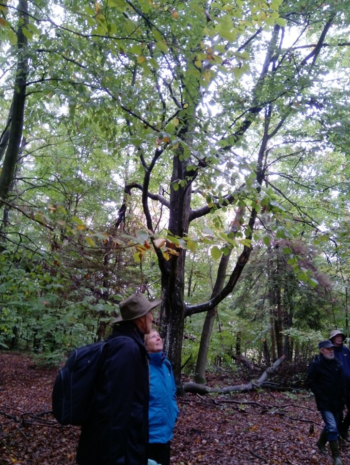 72418493_2397318583868811_909997664718815232_n 72418493_2397318583868811_909997664718815232_n