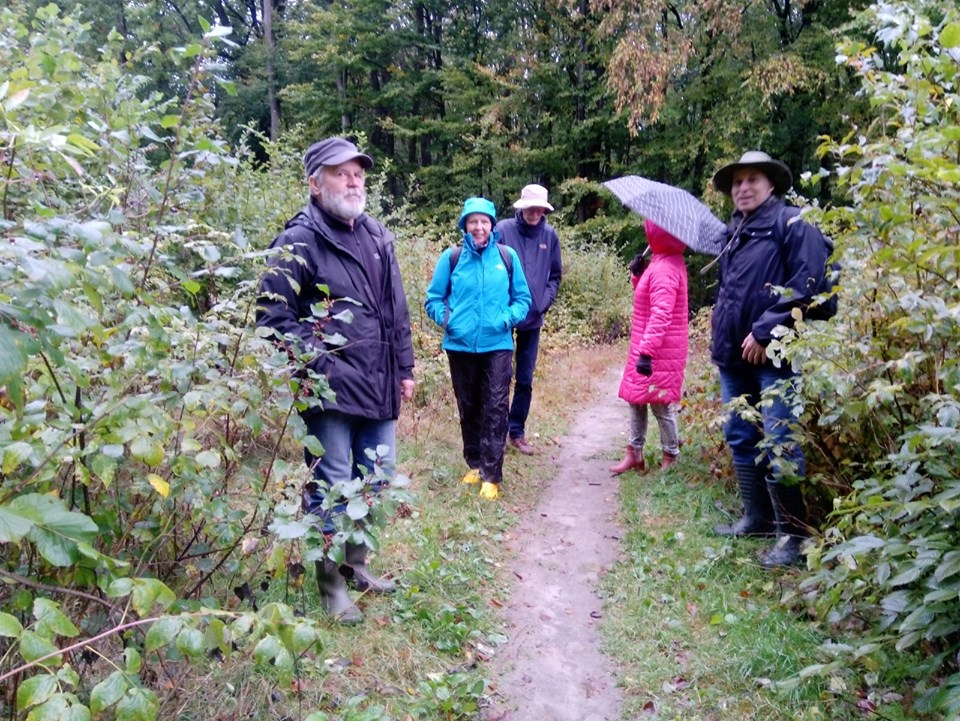 73240998_2397317990535537_293662509053771776_n 73240998_2397317990535537_293662509053771776_n