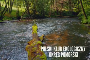 Polski Klub Ekologiczny Okręg Pomorski