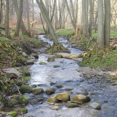 Woda w obiegu – każda kropla ma znaczenie