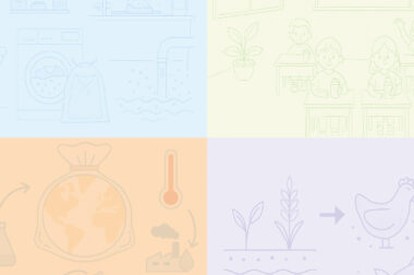 Przewodnik: Jak projektować i budować budynki miejskie bez toksyn, w duchu cyrkularności i neutralności klimatycznej?