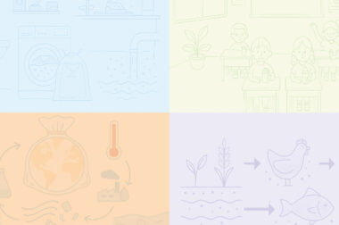 Kurs online: Sustainable Renovation Jak odnawiać budynki w sposób przyjazny środowisku?