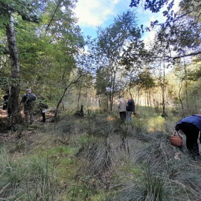 GRZYBY I GOSPODARKA CYRKULARNA – relacja